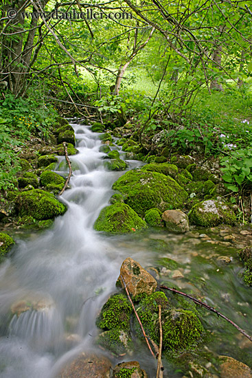 flowing-stream-in-forest-2.jpg