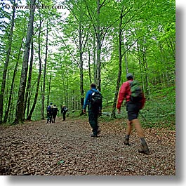 europe, forests, hikers, hiking, lush, slovenia, square format, trees, triglavski narodni park, photograph