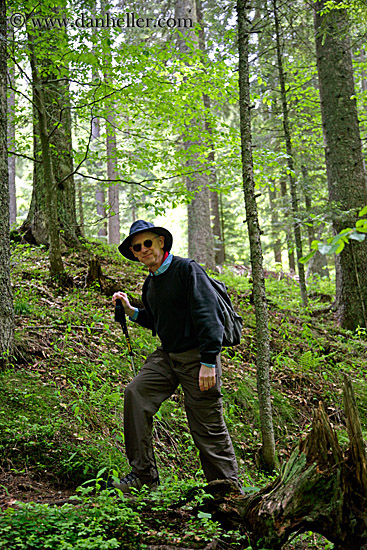 barry-hiking-in-forest-1.jpg