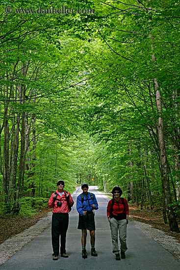 tree-tunnel-hikers.jpg