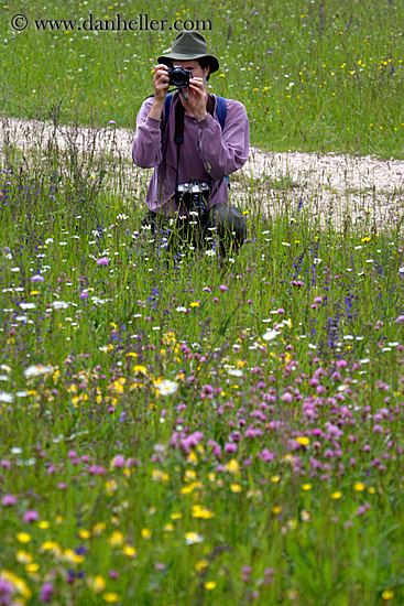 stuart-in-wildflowers-4.jpg