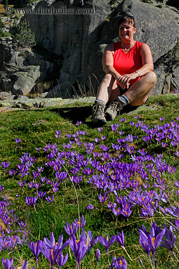 diane-n-crocus-flowers-02.jpg