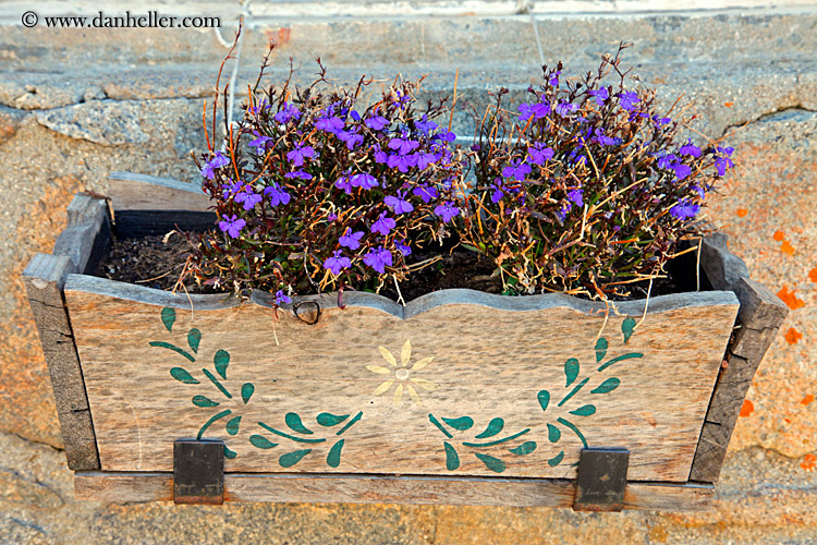 purple-flowers-in-box.jpg