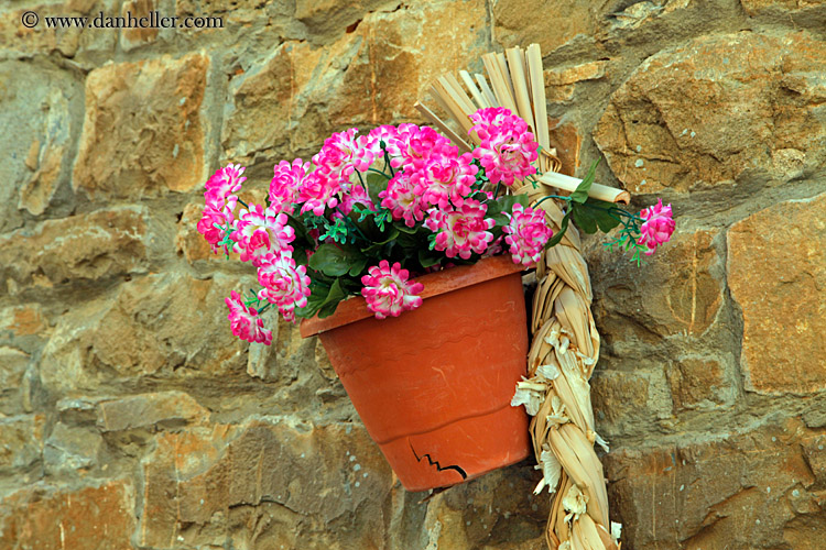 wall-flowers-01.jpg