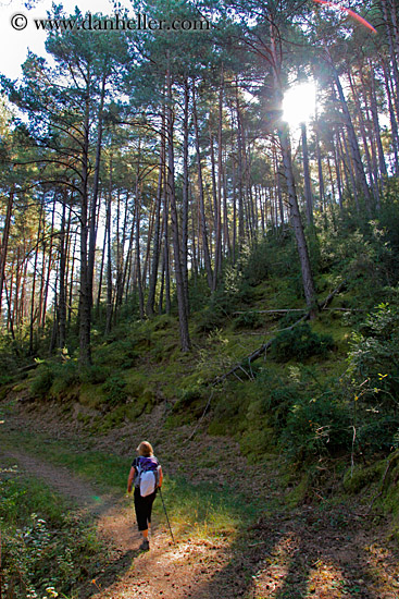 hikers-n-forest-04.jpg