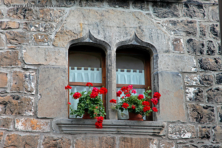 flowers-n-gothic-window.jpg