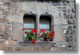 echo, europe, flowers, gothic, horizontal, spain, windows, photograph