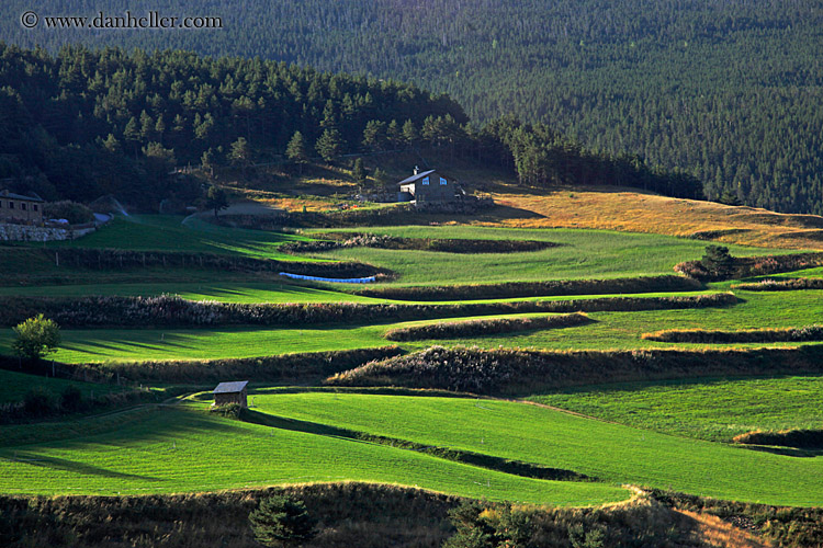 green-terraced-hillside.jpg