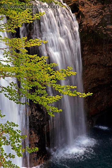 waterfall-n-tree-branch-03.jpg
