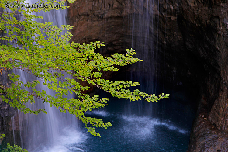 waterfall-n-tree-branch-05.jpg