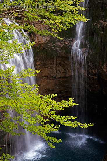 waterfall-n-tree-branch-06.jpg