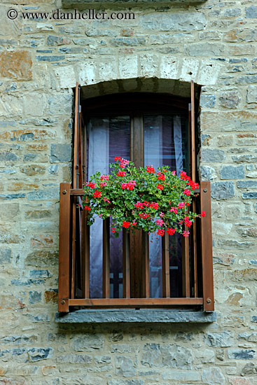 flowers-in-windows-03.jpg