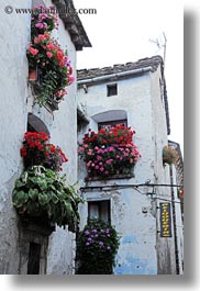 europe, flowers, spain, torla, vertical, windows, photograph