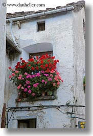 europe, flowers, spain, torla, vertical, windows, photograph