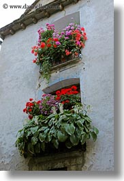 europe, flowers, spain, torla, vertical, windows, photograph