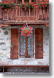 images/Europe/Switzerland/Flowers/flowers-0016.jpg