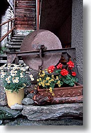 images/Europe/Switzerland/Flowers/flowers-0024.jpg