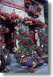 europe, flowers, swiss, switzerland, vertical, photograph