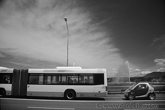 bus-car-bw.jpg