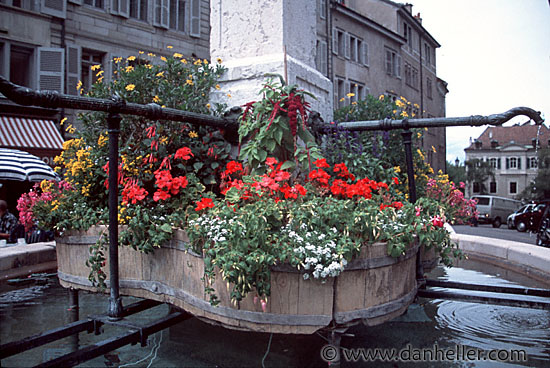 flowers-pool.jpg