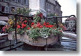 europe, flowers, geneva, horizontal, pools, switzerland, photograph