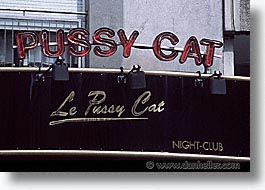 cats, europe, geneva, horizontal, pussy, switzerland, photograph