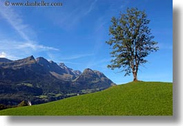 europe, grindelwald, horizontal, mountains, switzerland, trees, photograph
