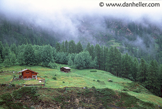 house-trees-fog.jpg