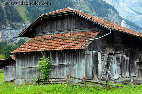 barn-n-tree.jpg