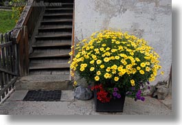 europe, flowers, gasterntal valley, horizontal, kandersteg, stairs, switzerland, photograph