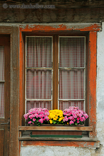 flowers-n-window-01.jpg