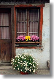 europe, flowers, gasterntal valley, kandersteg, switzerland, vertical, windows, photograph