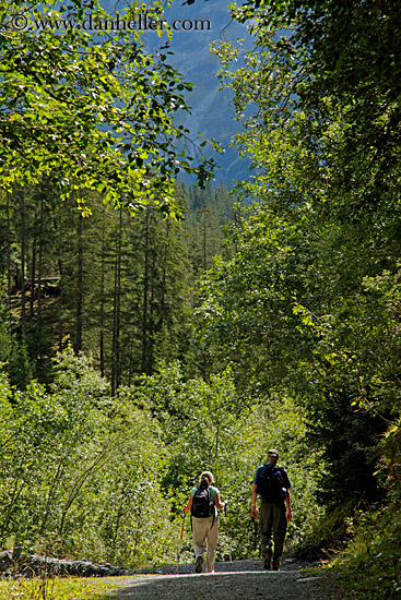 hikers-n-trees-03.jpg
