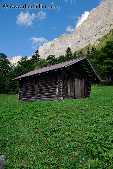 house-n-green-grass-n-mtn.jpg