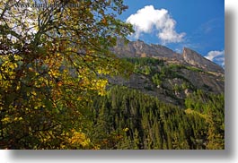 europe, gasterntal valley, horizontal, kandersteg, mountains, switzerland, trees, photograph