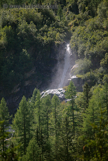 waterfall-n-trees-01.jpg