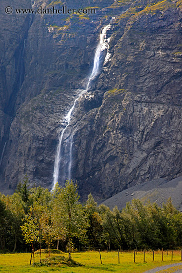 waterfall-n-trees.jpg