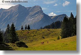 europe, hikers, hiking, horizontal, kandersteg, lake oeschinensee, mountains, people, switzerland, photograph