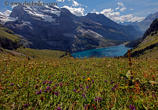 mountains-n-grassy-landscape-08.jpg