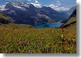 images/Europe/Switzerland/Kandersteg/LakeOeschinensee/mountains-n-grassy-landscape-08.jpg