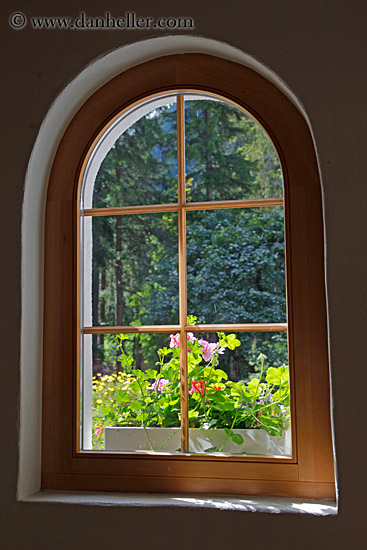 flowers-in-windows-02.jpg