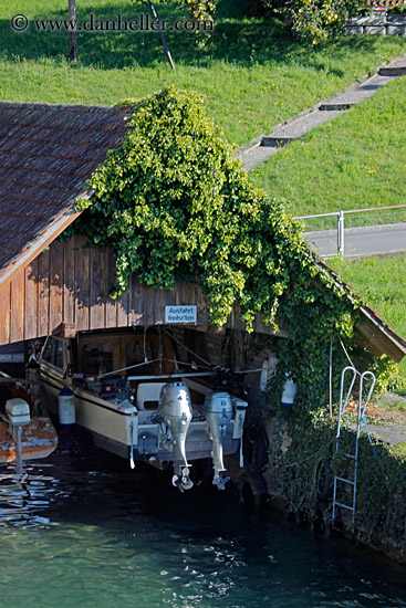 ivy-covered-boat-house.jpg