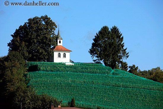 church-n-vineyard.jpg