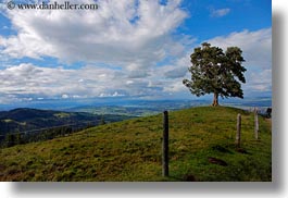 clouds, europe, horizontal, lone, lucerne, mt pilatus, nature, sky, switzerland, trees, photograph