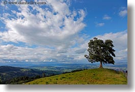 clouds, europe, horizontal, lone, lucerne, mt pilatus, nature, sky, switzerland, trees, photograph