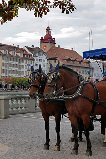 horses-n-clock-tower.jpg