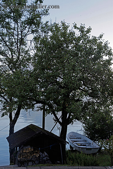 boat-house-n-tree.jpg