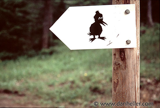 duck-sign.jpg