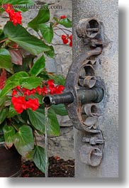 images/Europe/Switzerland/Montreaux/ChateauDeChillon/flowers-n-water-pipe.jpg