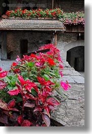 images/Europe/Switzerland/Montreaux/ChateauDeChillon/flowers.jpg